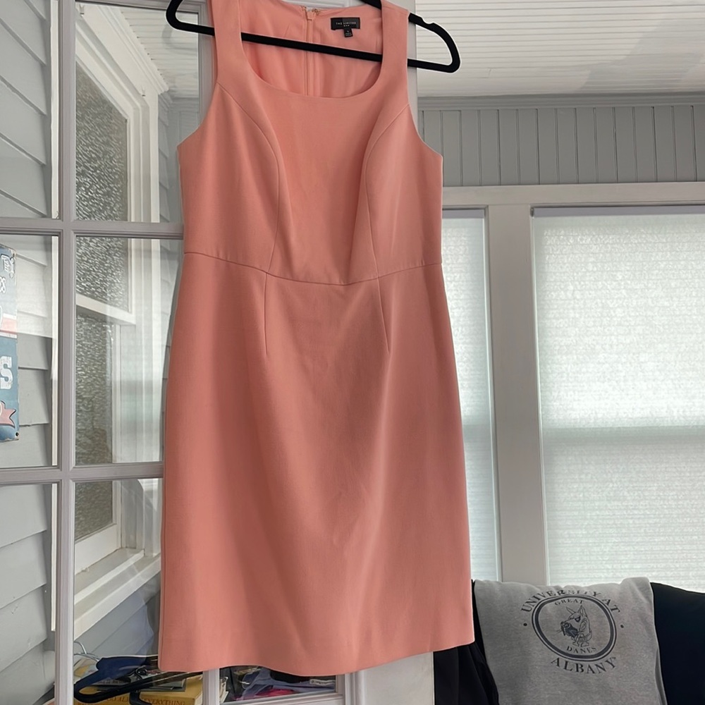 EUC the limited pink dress size 6